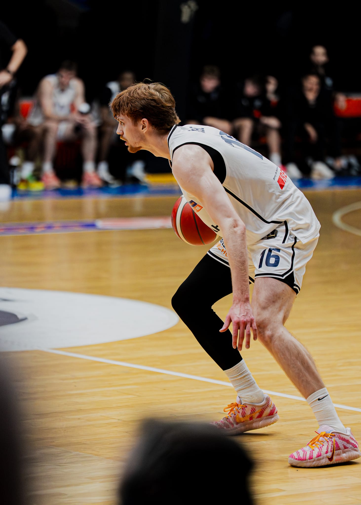 USK Praha vs BK Opava, photo 13