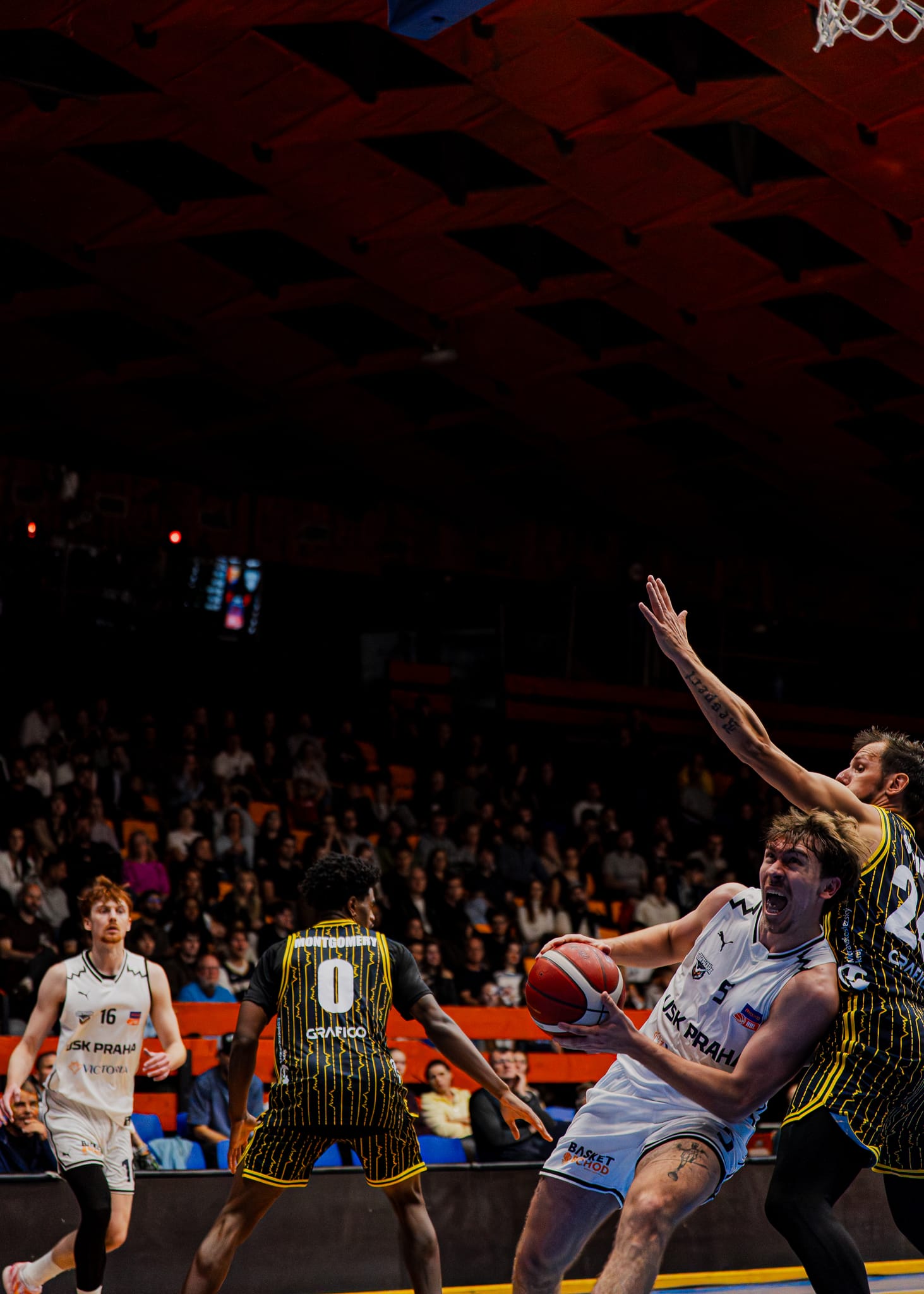USK Praha vs BK Opava, photo 34