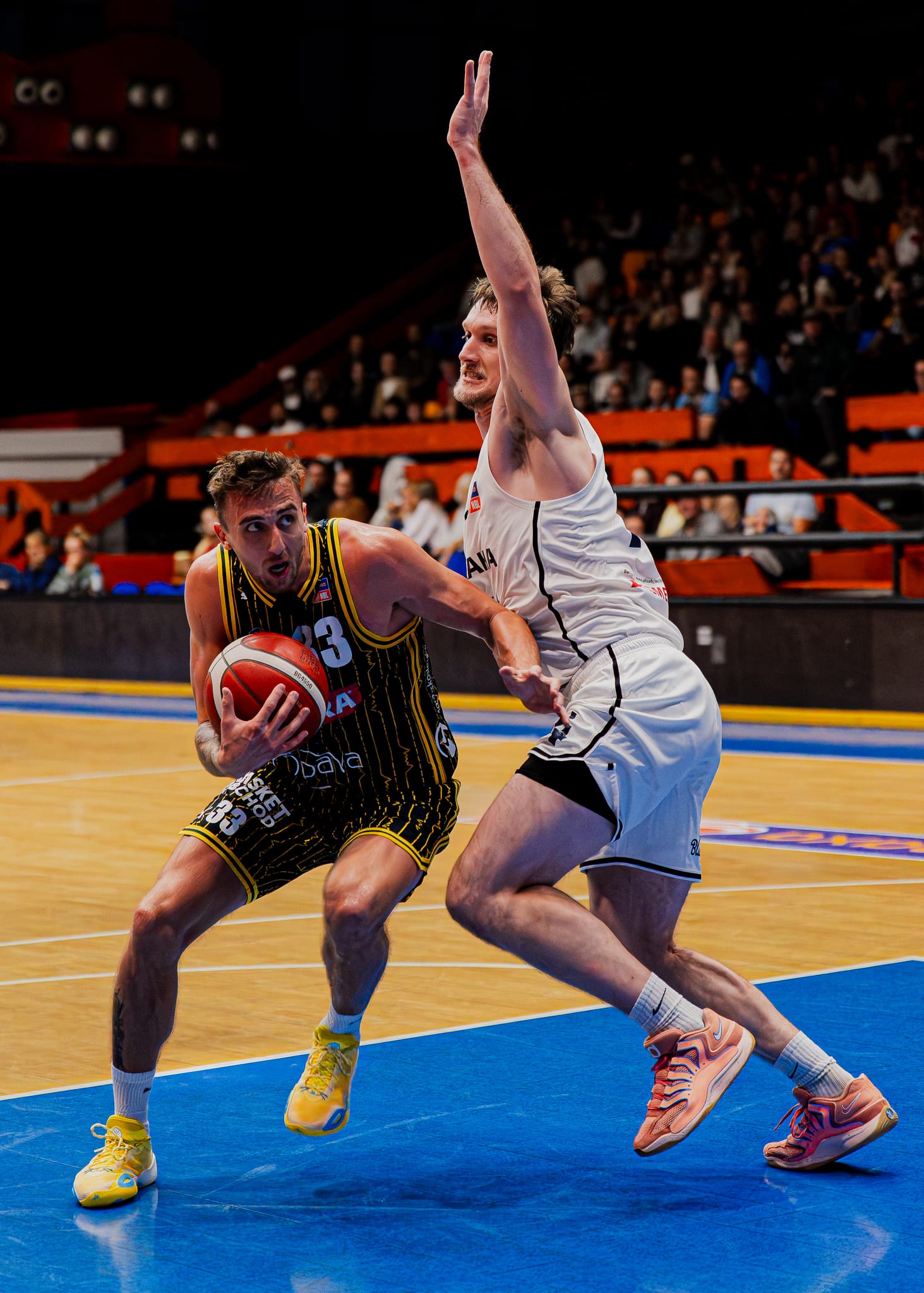 USK Praha vs BK Opava, photo 39