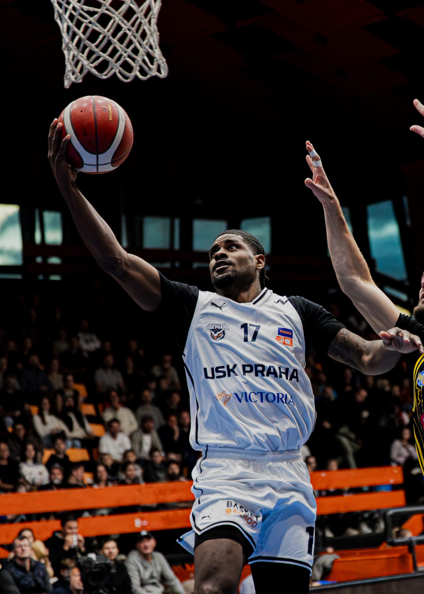 USK Praha vs BK Opava, photo 57